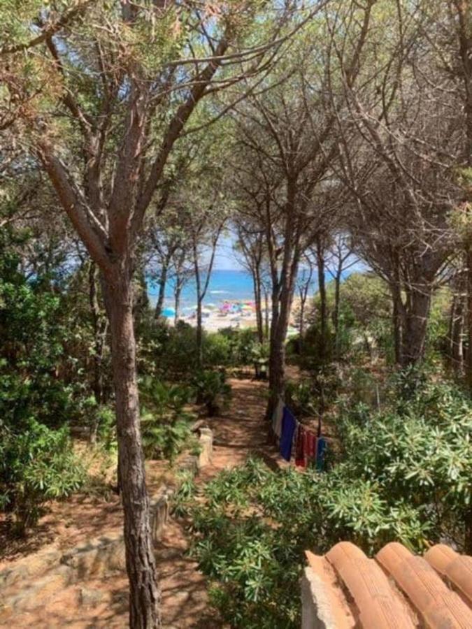 Jana De Mar Cala Liberotto